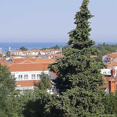Apartments N & V Poreč Buitenkant foto
